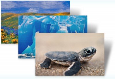 bings best 3 400x276 Bings Best 3, Windows 7 Themepack Released
