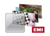 emi windows 7 themes