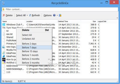 Recycle Bin Manager for Windows