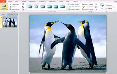 Remove image backgrounds using PowerPoint