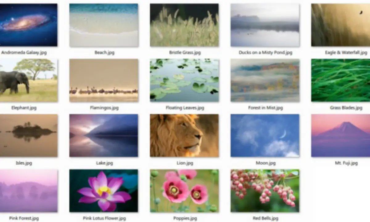 Download Mac Os X Lion Dp4 Wallpaper Pack