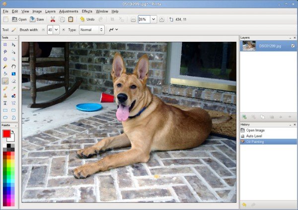 Pinta Image Editor