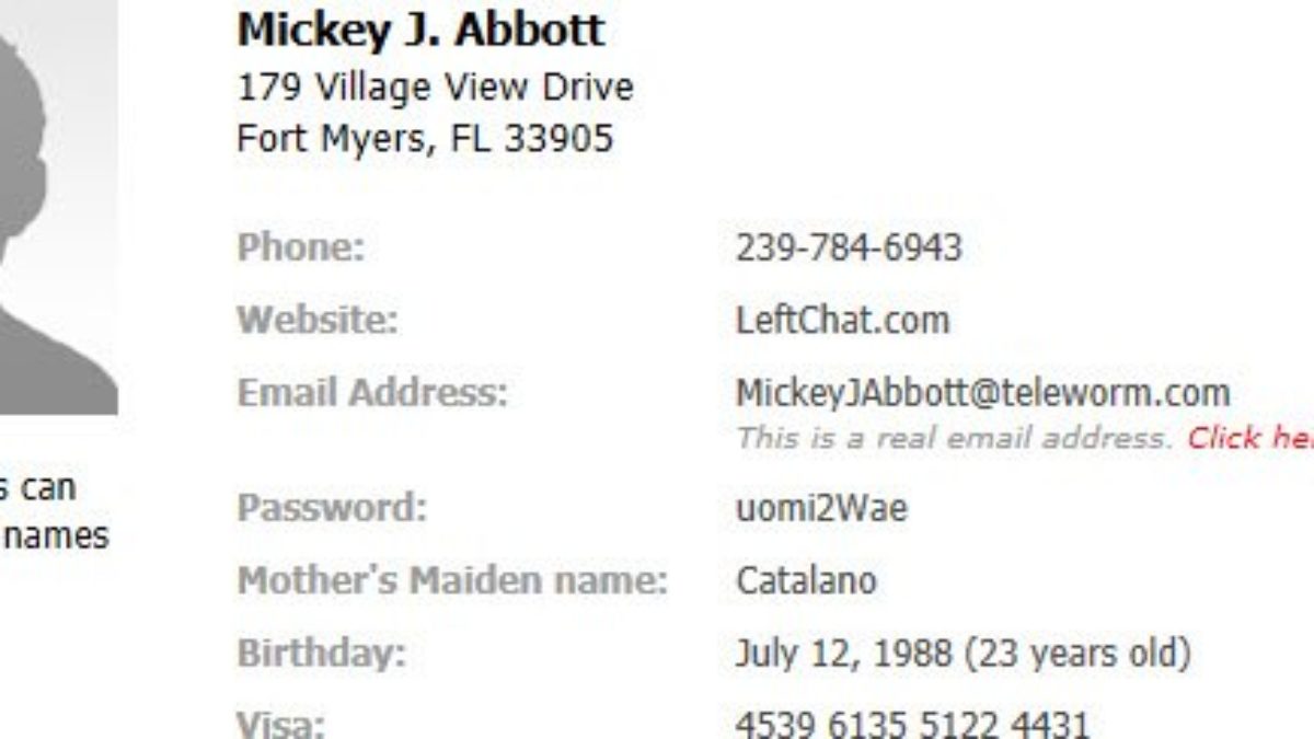 Free Fake Online Name And Identity Generator