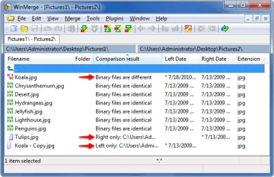 download winmerge for free