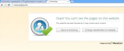 angel DNS blocked website