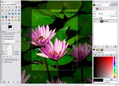 Лучшее бесплатное программное обеспечение для Windows 10 в 2019 году GIMP Free Professional Image Editor для Windows