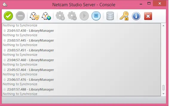 Netcam Server