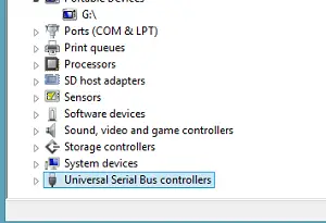 Universal Serial Bus controllers
