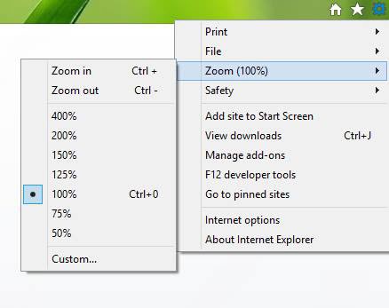 Change Zoom Level in Internet Explorer