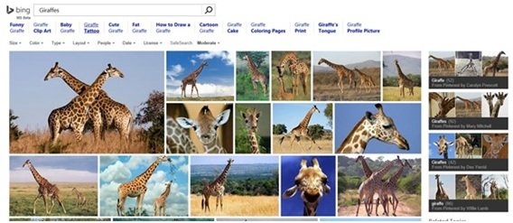 Bing image search