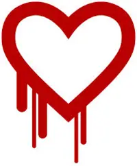 Heartbleed Bug