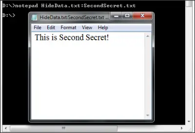 Hide data in a secret text file compartment