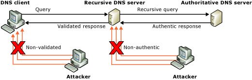 Dns-Cache-Poisoning Und Spoofing