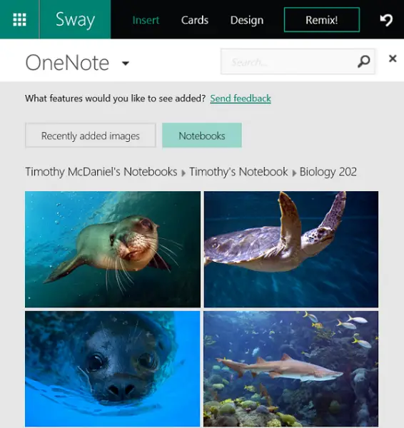 Notebooks in Sway
