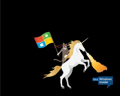 Windows_Insider_Ninjacat_UnicornZ