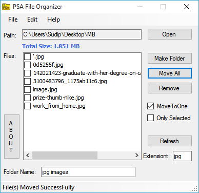 PSA File Organizer - 2