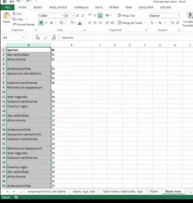 remove Blank Cells from Excel