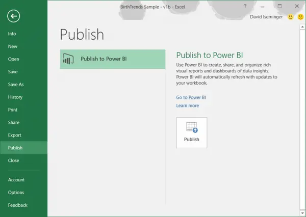 Excel publish