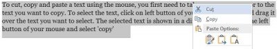 copy paste using mouse 3