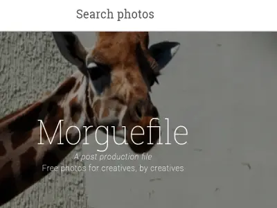 morguefile stock free photo website