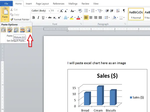 paste excel chart in word document