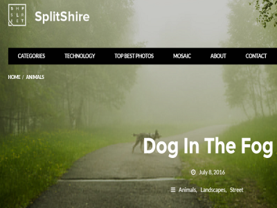 splitshire stock free photo website