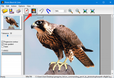 Replace color in image with freeware Photo Black & Color