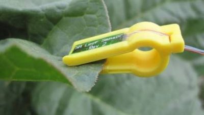 leaf-sensor
