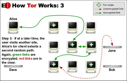 browser tor network hydra2web