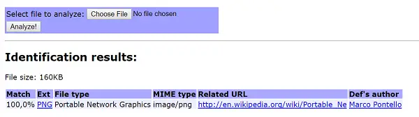 File Type Identifier