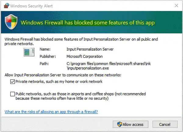 Windows Firewall has blocked some features of this app