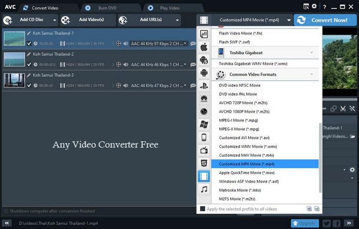 Any Video Converter Free