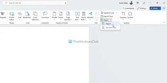 How to link PPT or PDF objects in Word document