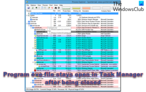 Program exe file stays open in Task Manager after being closed
