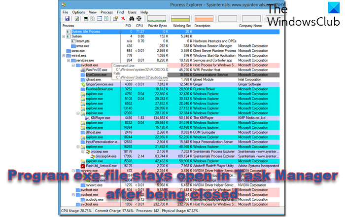 Program exe file stays open in Task Manager after being closed