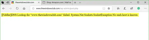 DNS lookup for website failed