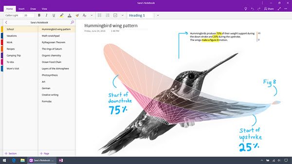 difference between OneNote and OneNote 2016