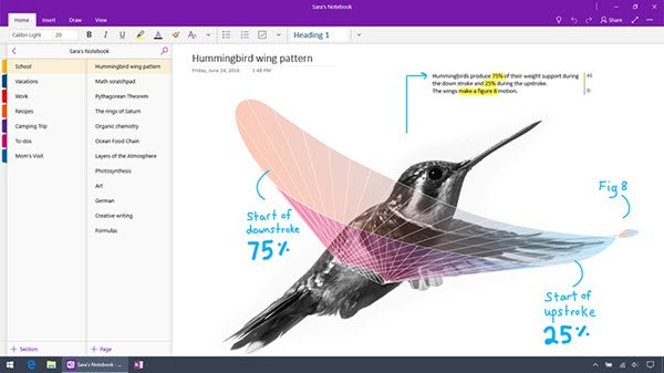 Différence Entre OneNote Et OneNote Pour Windows 10 - Tech Tribune France