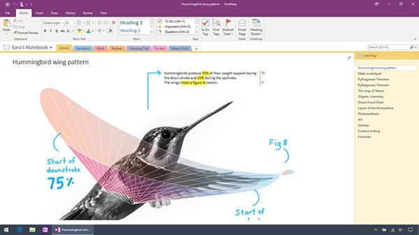 microsoft onenote 2016 how to change standard font