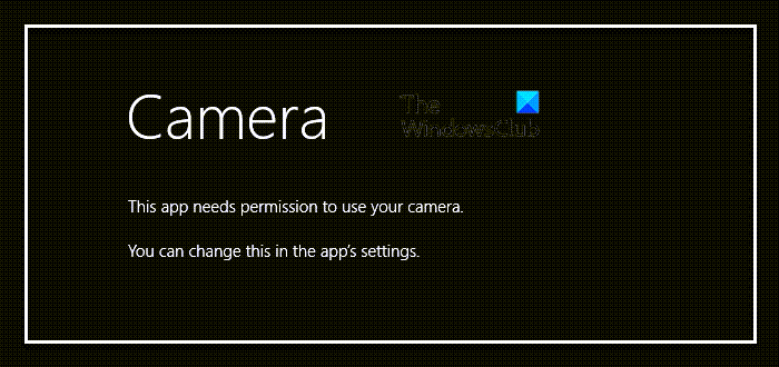 This app needs your permission to use your camera