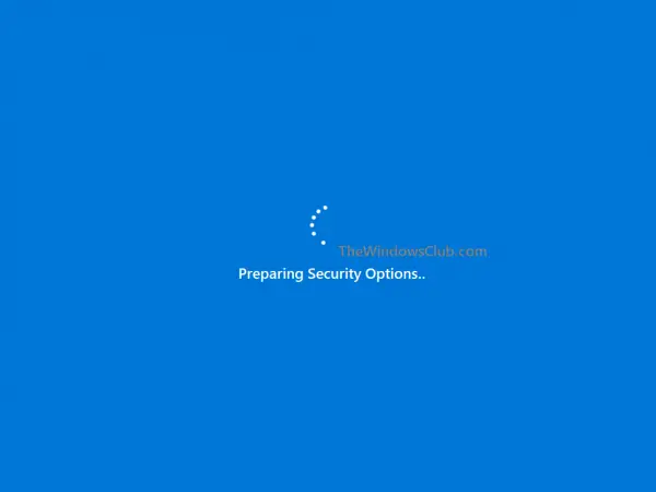 Windows 10 stuck at Preparing Security Options