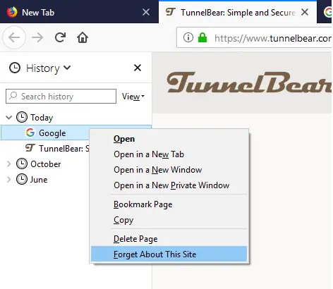 Forget About This Site Firefox