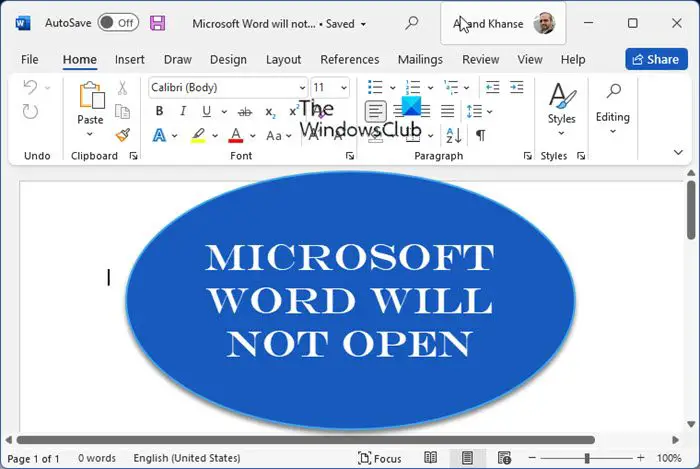 Microsoft Word will not open