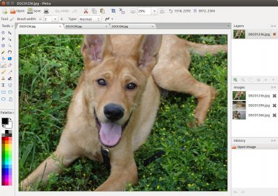 best microsoft paint alternative