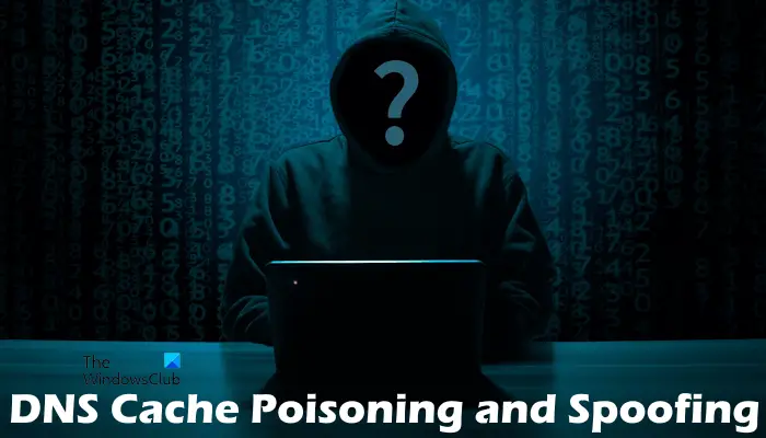 Dns-Cache-Poisoning Und Spoofing