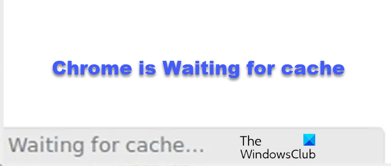 Chrome is Waiting for cache