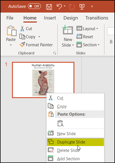 How to use Zoom animation in a PowerPoint Slide