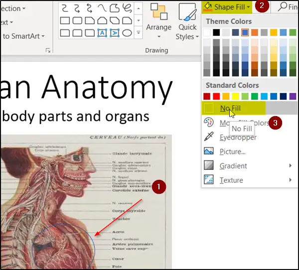 How to use Zoom animation in a PowerPoint Slide
