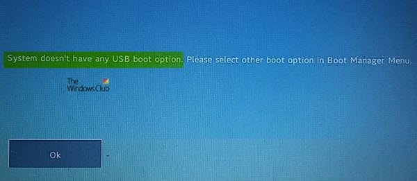 System doesn’t have any USB boot option