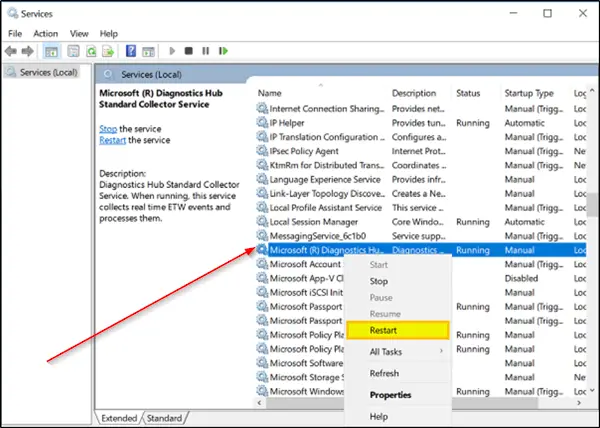 Microsoft (R) Diagnostics Hub Standard Collector Service